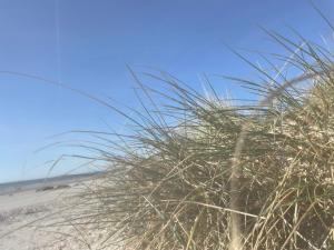 Appartements Vue Mer, Golfe et Dunes- Residence Dunes du Golfe : photos des chambres
