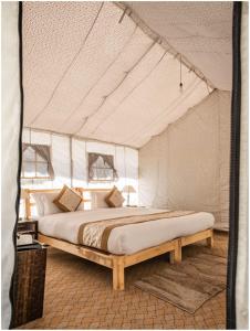 Camp Norling Stars - Koyul