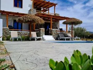 Naxos Beachwalk Villa Plaka - Maragkas