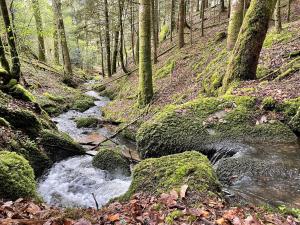 B&B / Chambres d'hotes Chateau du Bouy : photos des chambres