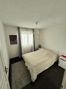 Appartements Charming apartment near Geneva : photos des chambres