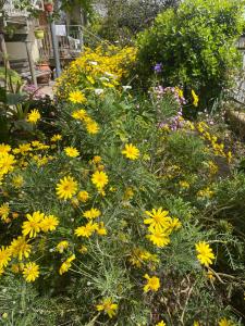 Appartamento Stefano