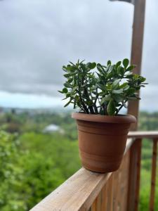 Cottage in Mountains of Adjara