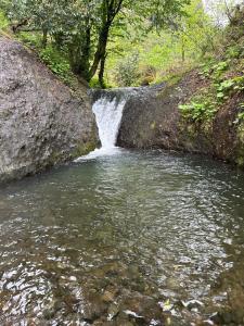 Cottage in Mountains of Adjara