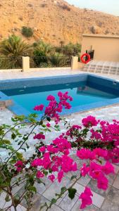 Wadi Bani Khalid Villa