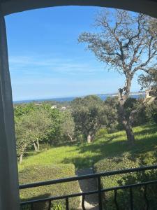 Appartements T3, sublime sea view, Saint-Tropez : photos des chambres