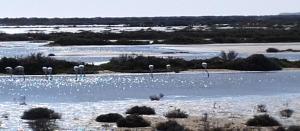 Campings Bungalow Confort et Nature : photos des chambres