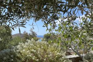 Paraside Seaside Villa in Delfini says Netflix