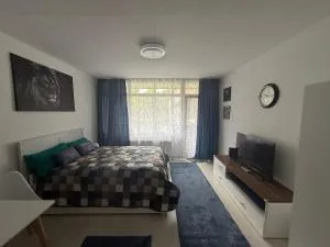 Steinhauer Business Appartement - Köngernheim