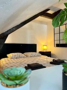 Appartements Dalikyda - La Perle de Montivilliers : photos des chambres