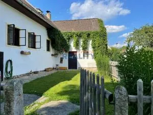 Chalupa k pronajmutí - Sedlce - Žleby