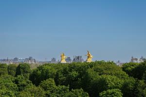 Luxury apartments - Avenue Montaigne