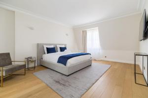 Luxury apartments - Avenue Montaigne