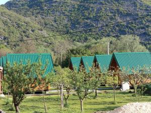 Camp River