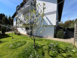 FeWo meisteroffice im Sackgässle, ebenerdige ELW 50qm, Terrasse, vollwertige Küche, Nähe Ulm