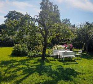 Suur-Lossi Apartments