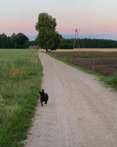 Samotnia w folwarku Wandzin