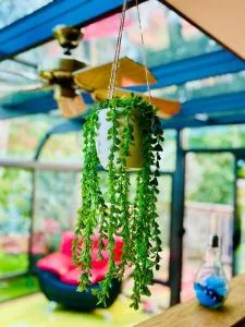 Charming Farmhouse - Castleton