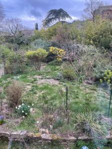 House and garden