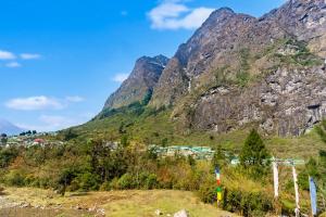 The Whispering Pines by Trekocity