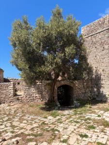 Kiparissi Guesthouse