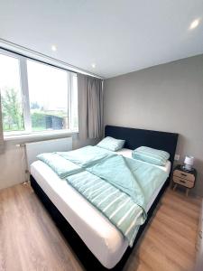 Plattedijk - vakantiehuis 25-26