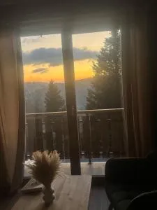 Chalet montagnard - 比桑