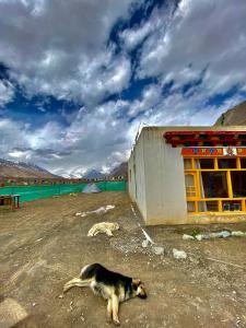 AAMYO Homes