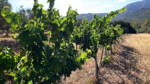 Casa Monte Liuru img20