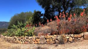 Casa Monte Liuru img22