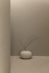 Palazzo Cordigero - Apartments