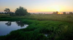 Kolobe Luxury Glamping Safari Tent