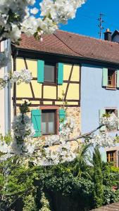 Maisons de vacances GITE LE COQ ROUGE : photos des chambres