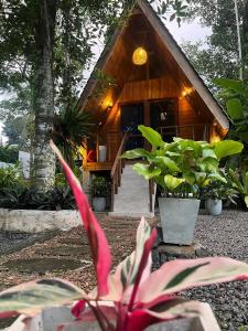 Syara villa
