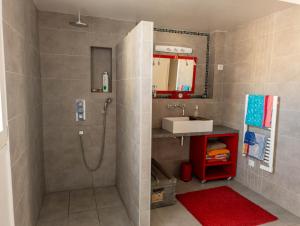 Chambre Terrasse Multimédia