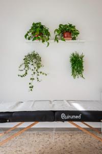 Wellness Holiday Home