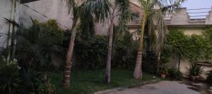 Nitin tyagi homestay