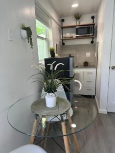 2 Nice and Cozy guest house