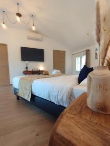 Suite with Terrace room in Hôtel Padolo