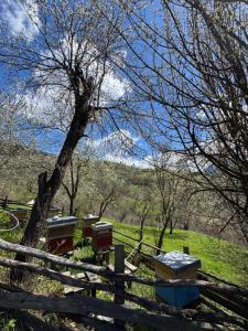 Ethno house Dušanovi stupovi