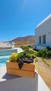 MelivOia house collection - Private Jacuzzi Villas