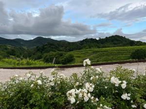 The Music Country House