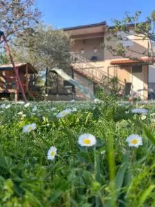 Casa di Lipa - Čeluga