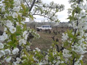 Casa Rural en Lerma
