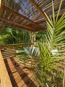 Campings La Buissonniere Lodges : photos des chambres