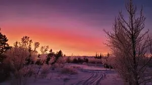 Thingvellir Lake Cottage - Kerhraun