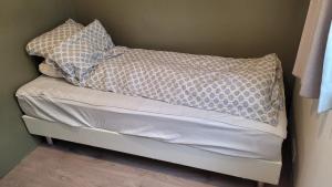 Thingvellir Lake Cottage