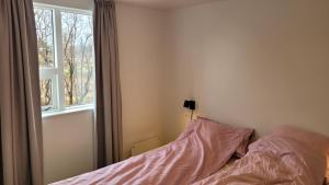 Thingvellir Lake Cottage