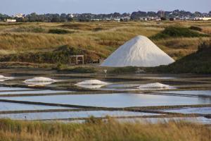 Maisons d'hotes La chambre du Grand Val : photos des chambres