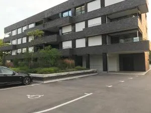 Modern and stylish Home in Muttenz - 明兴施泰因